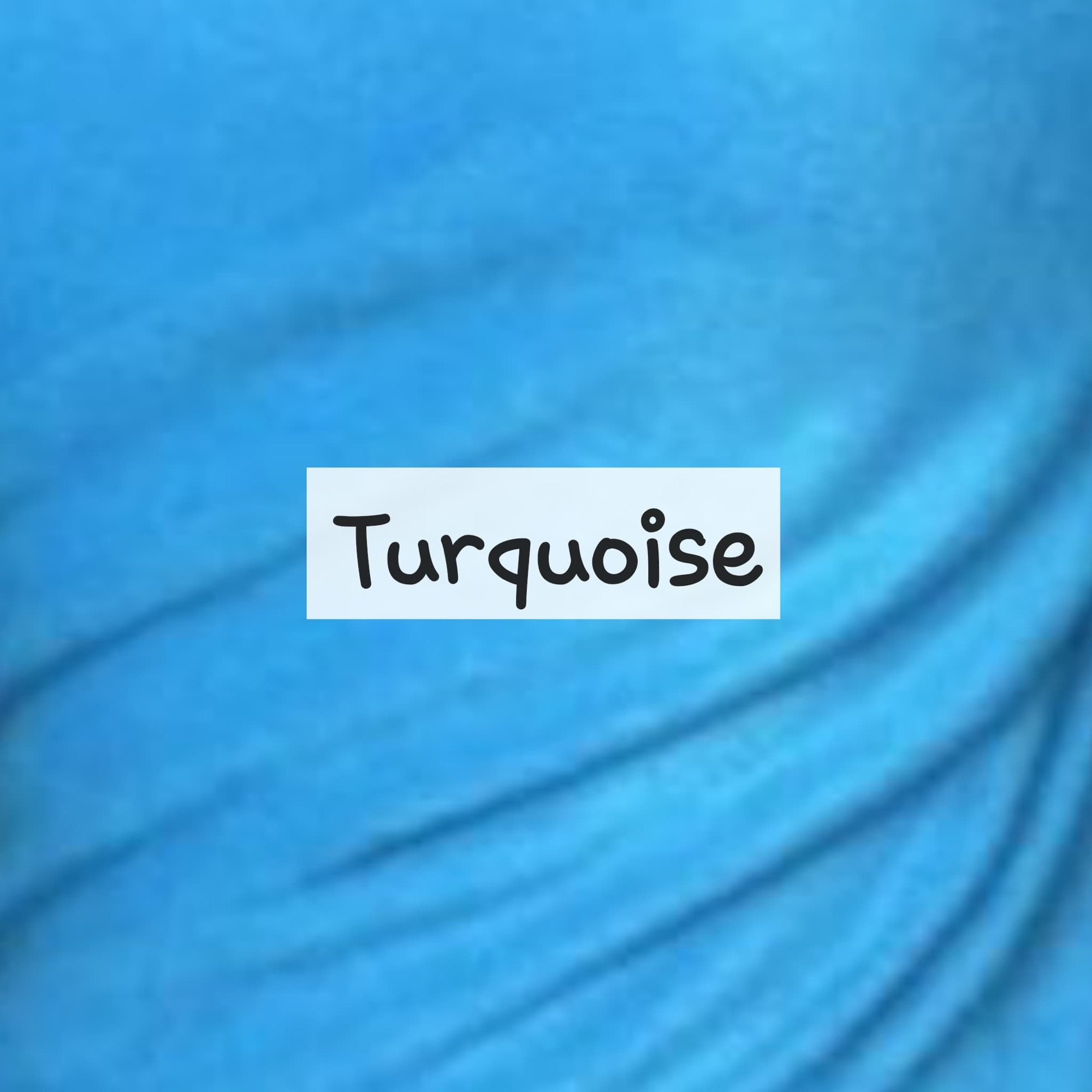 Turquoise Fleece