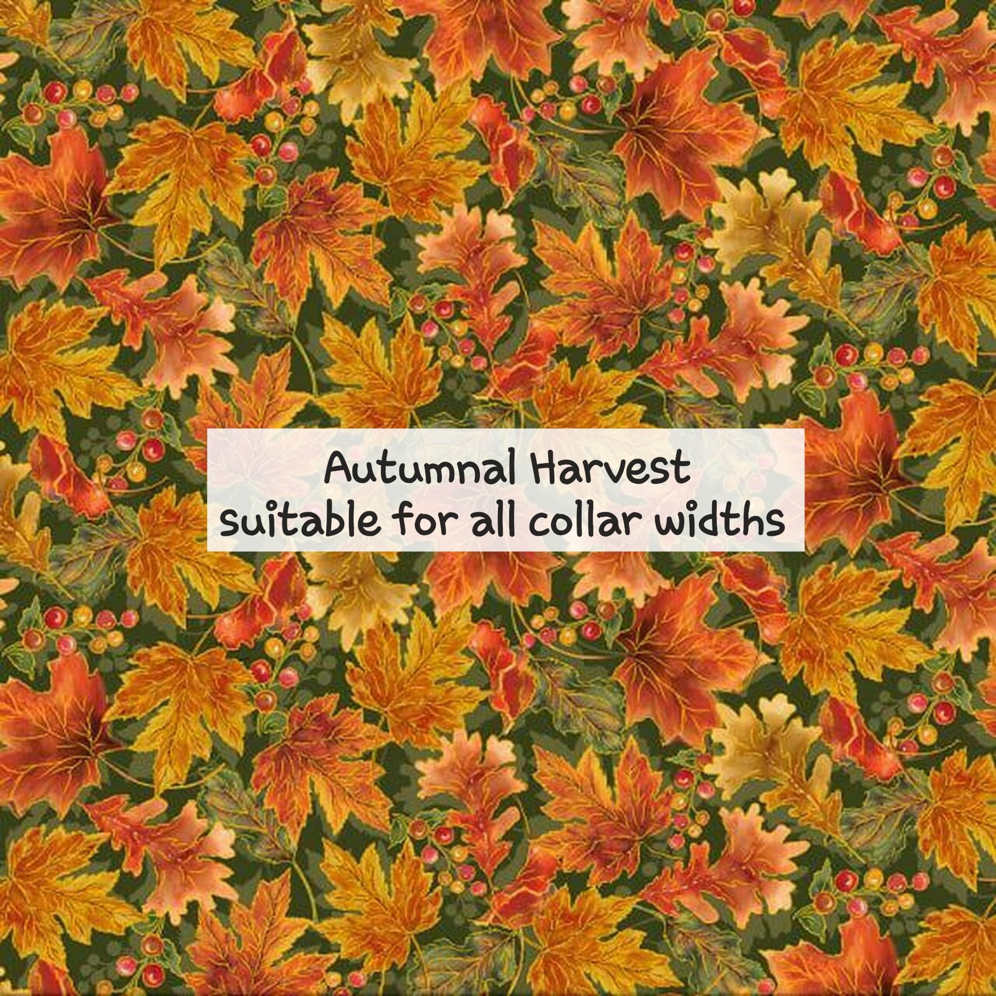 autumnal harvest