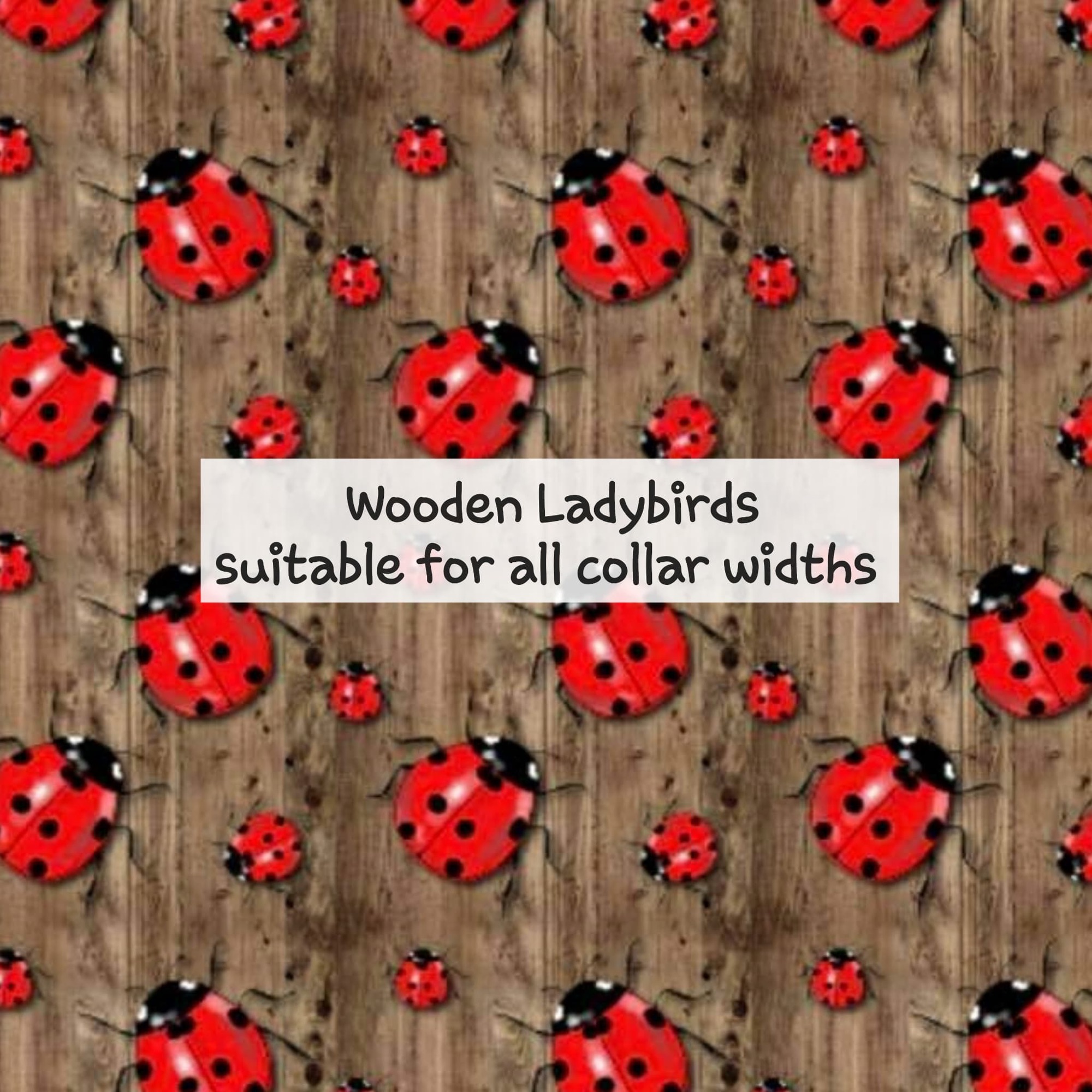 Wooden Ladybirds