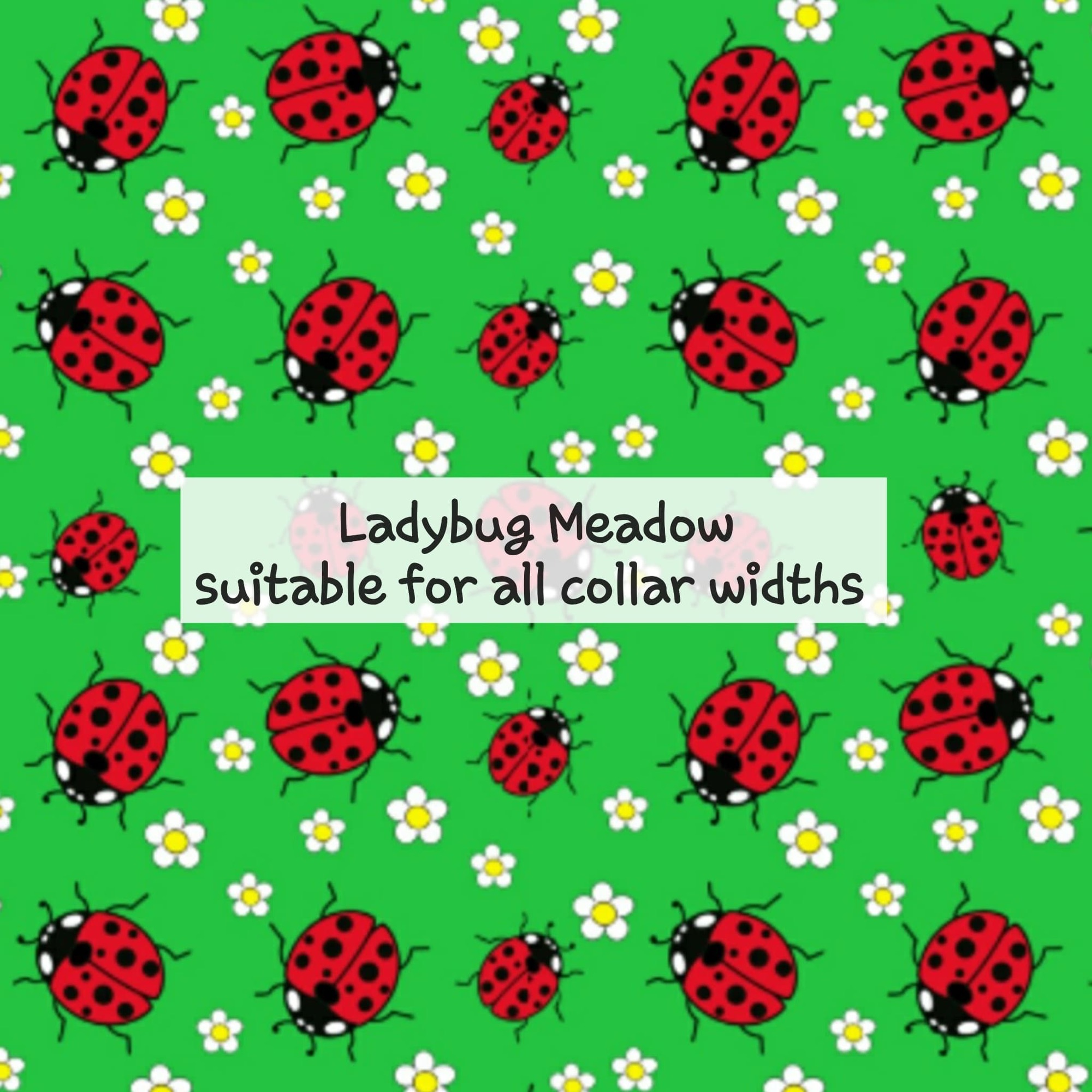 Ladybig Meadow