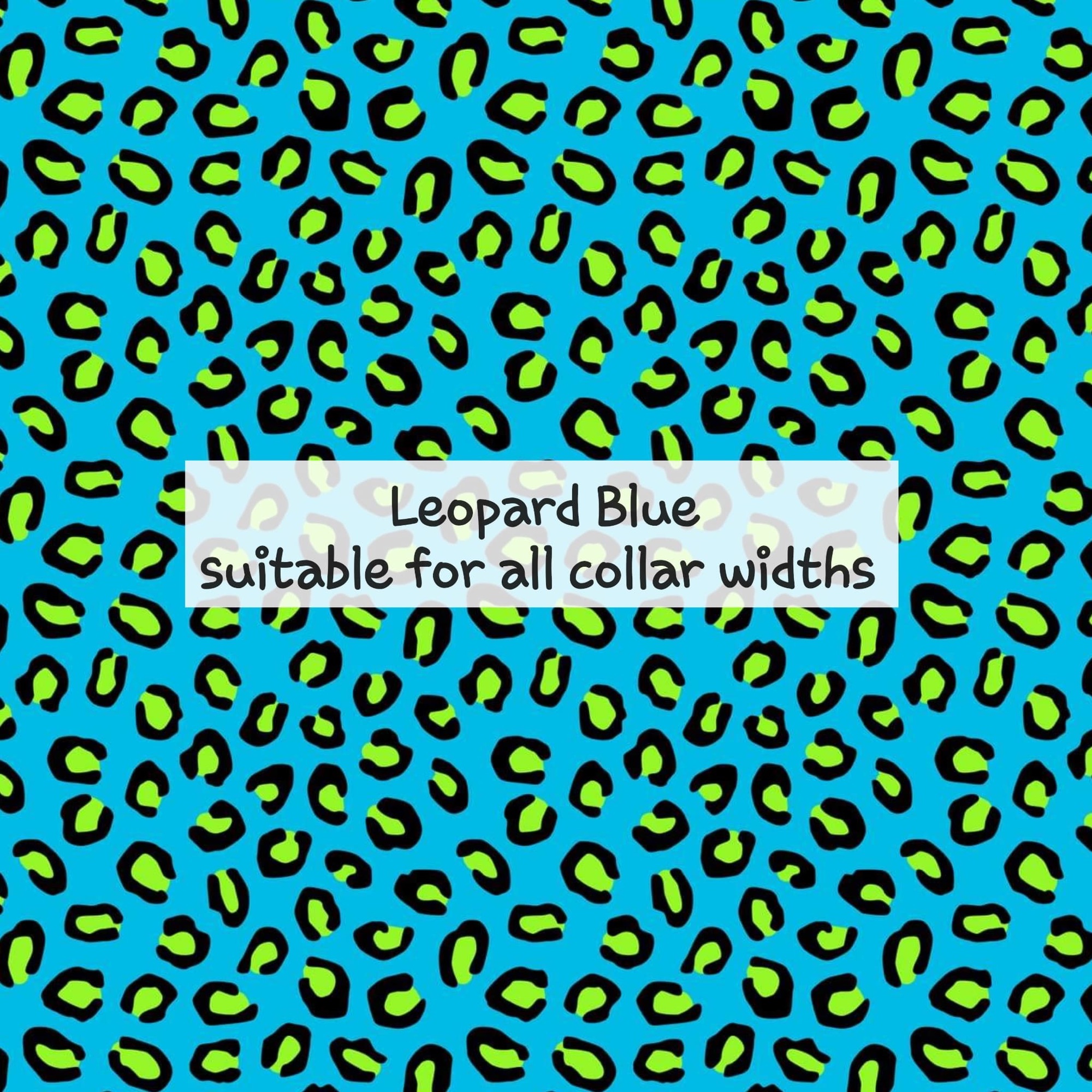 leopard blue