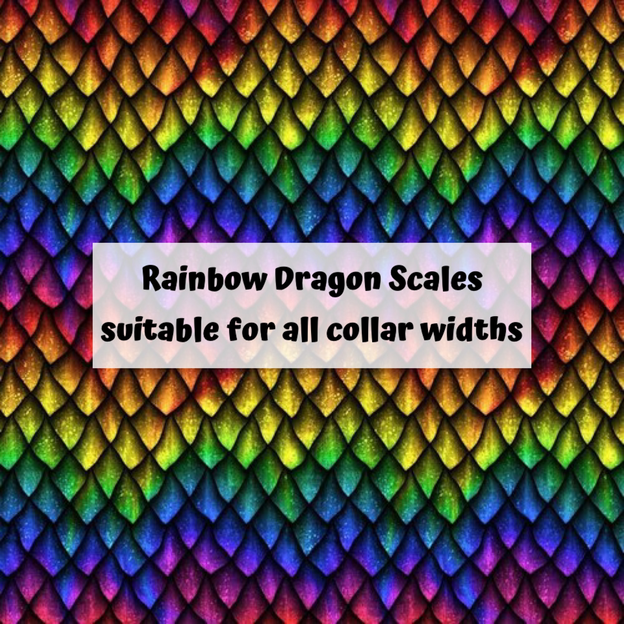Rainbow Dragon Scales
