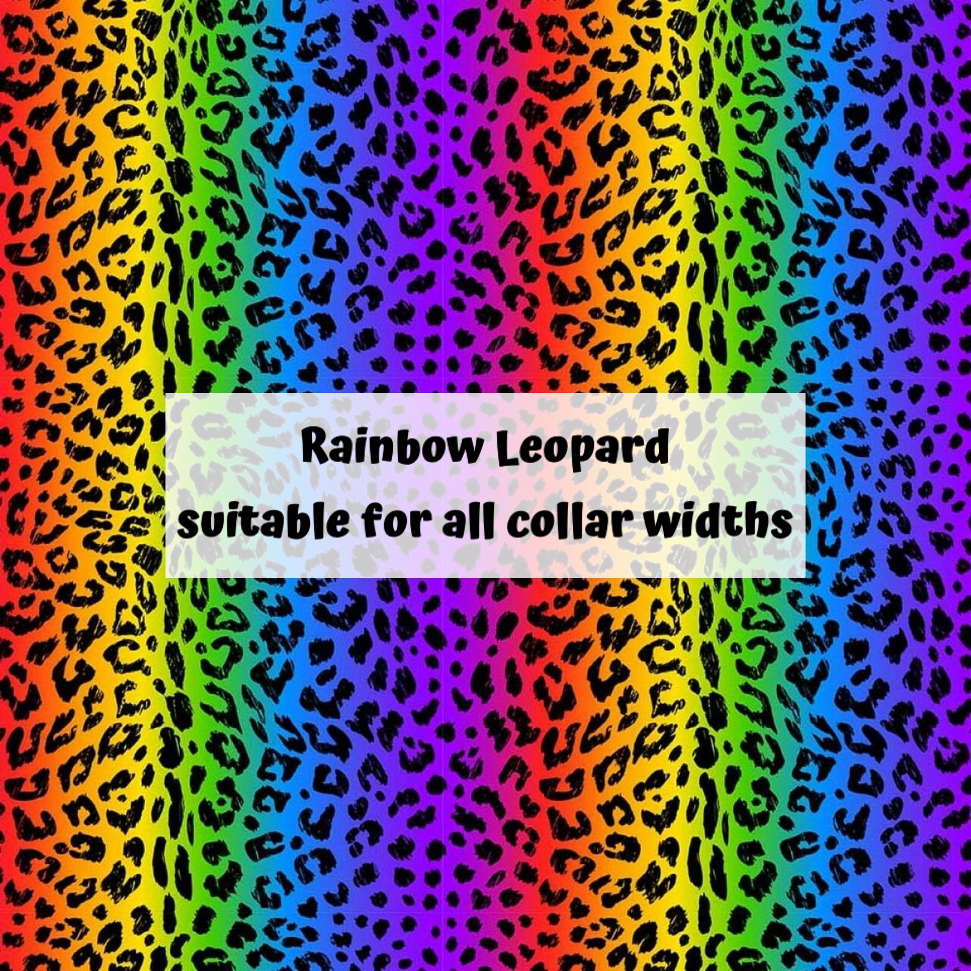 Rainbow Leopard