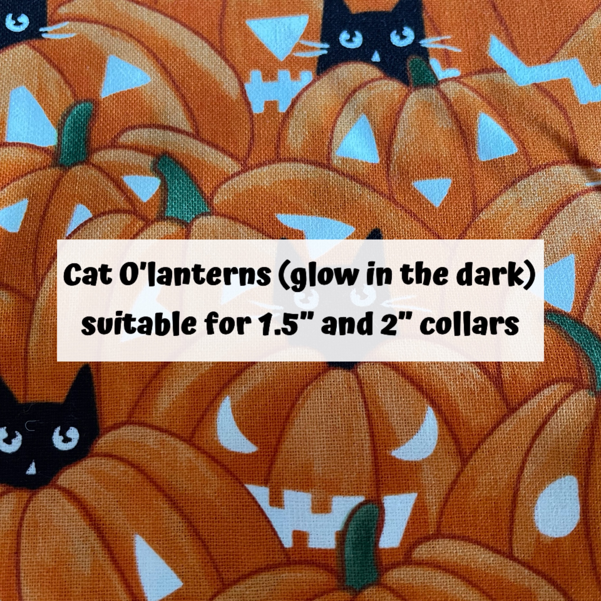 Cat O'Lanterns (glow in the dark(