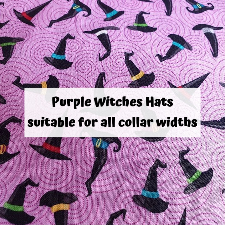 Purple Witches Hats