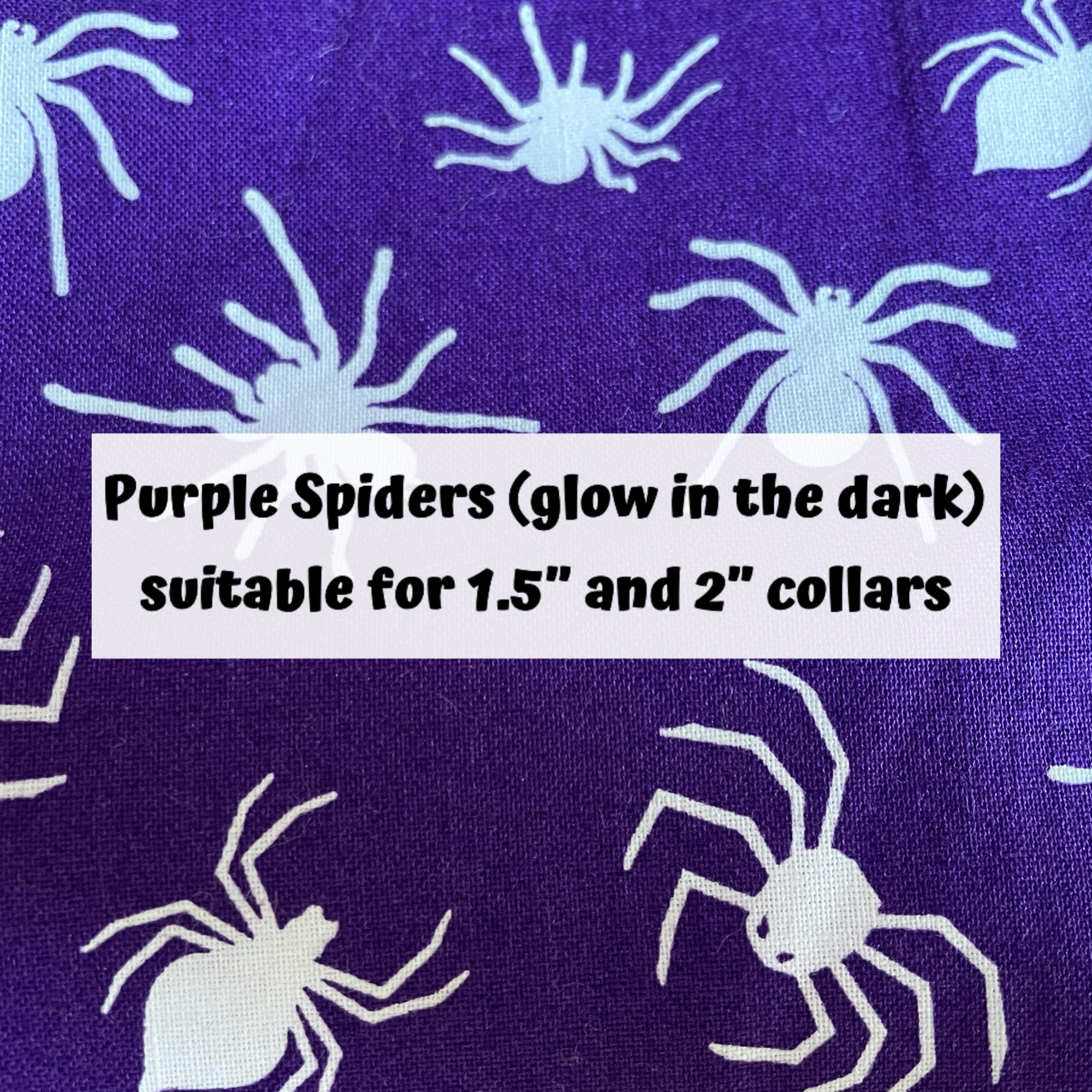 Purple Spiders (glow in the dark)