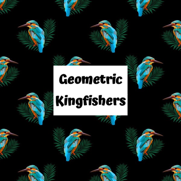 Geometric Kingfishers