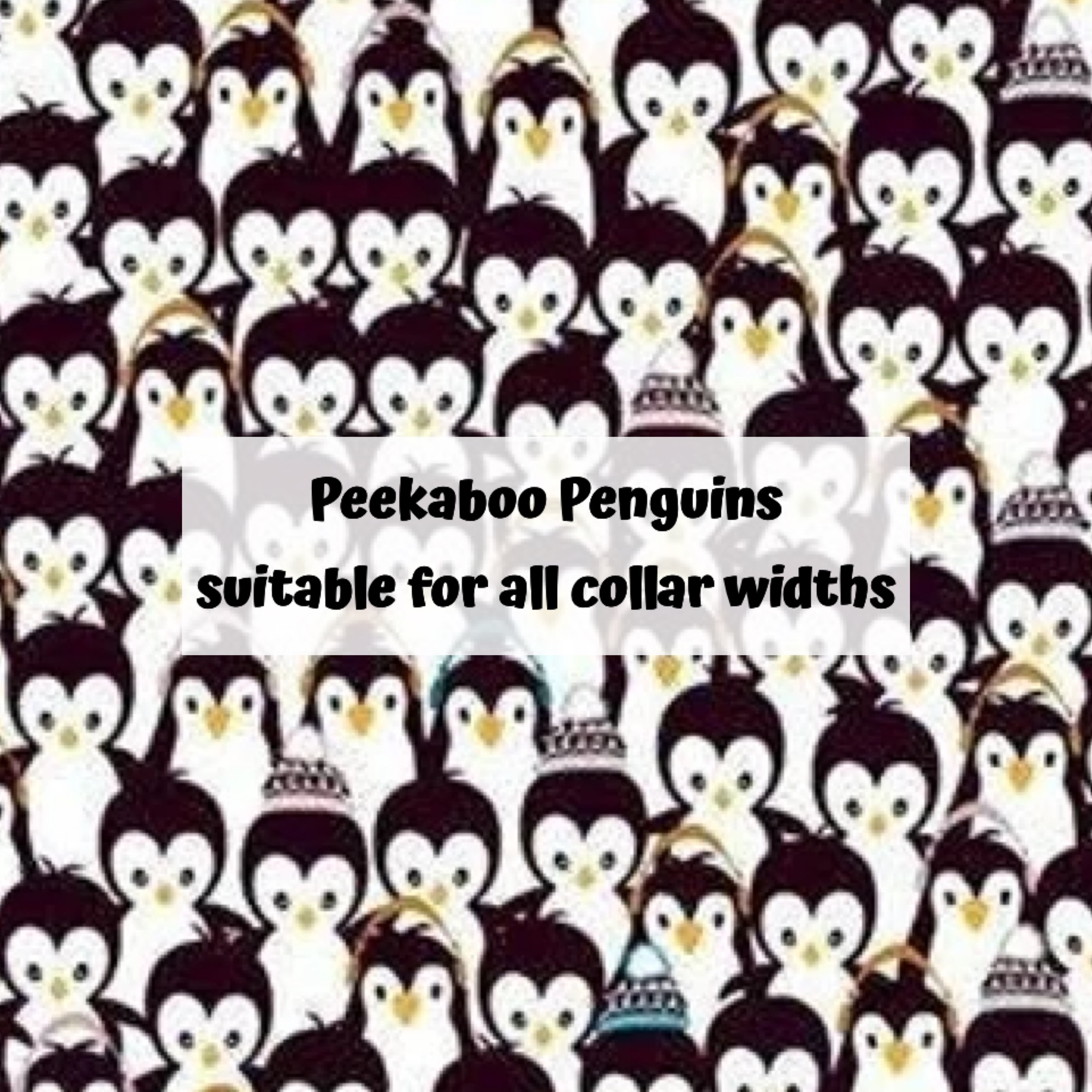 Peekaboo Penguins