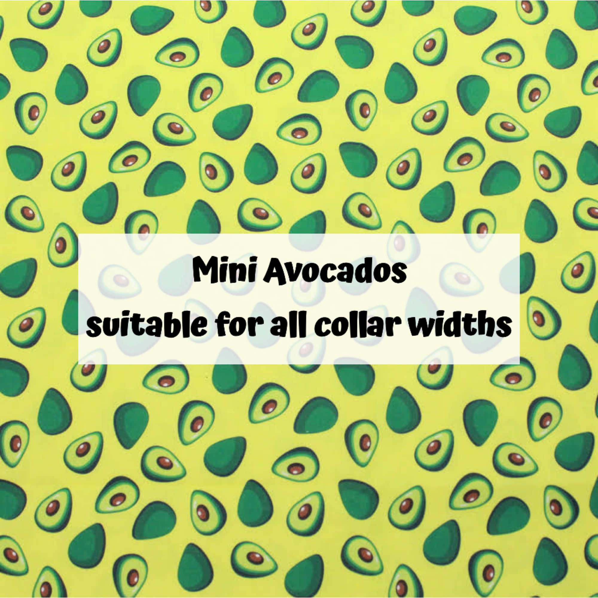 Mini Avocados