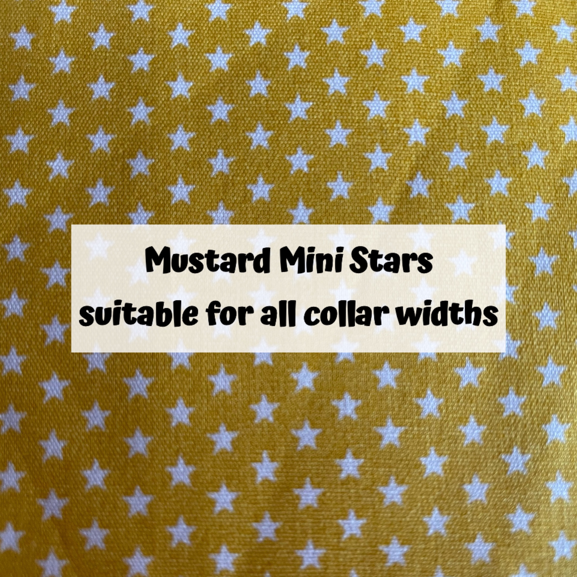 Mustard Mini Stars