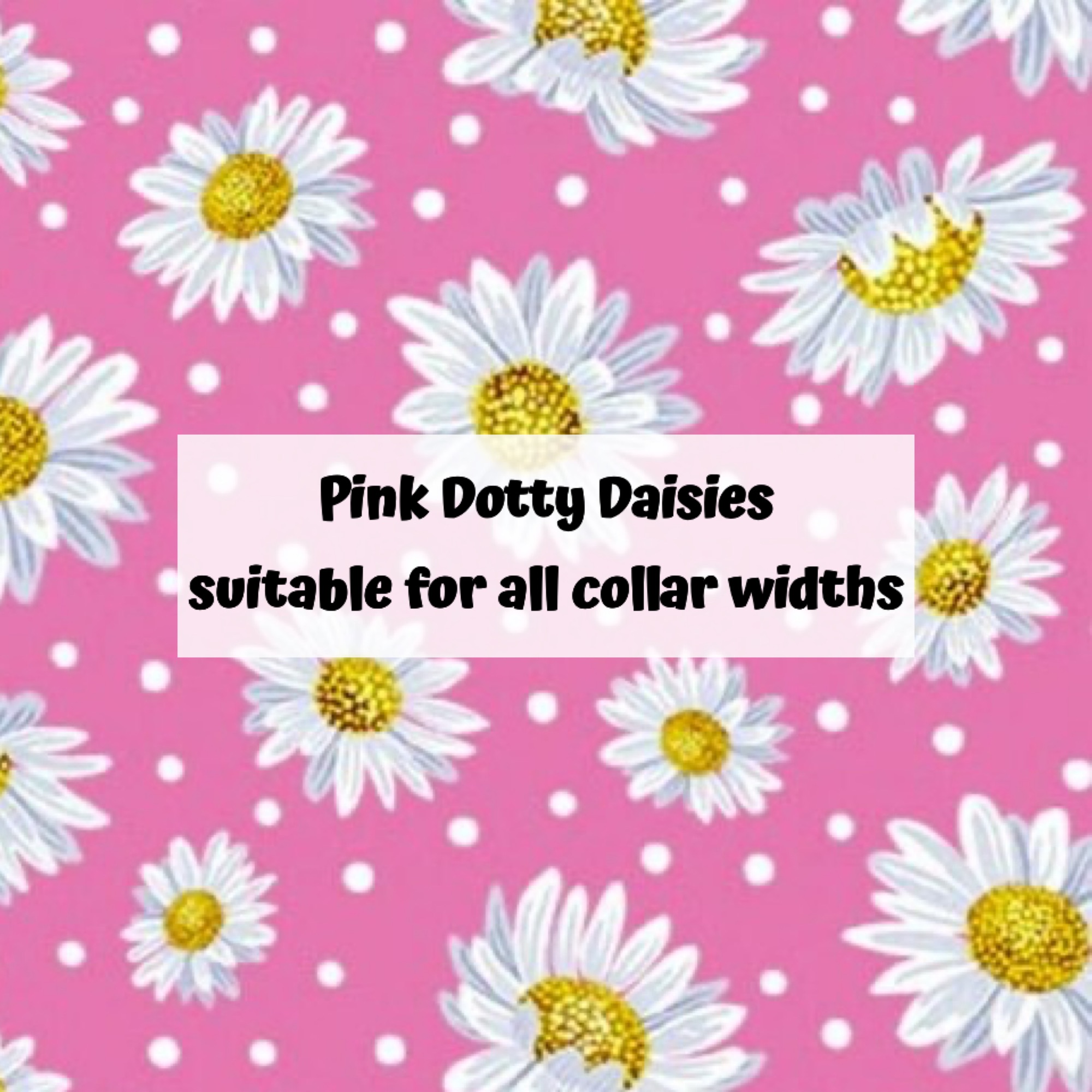 Pink Dotty Daisies