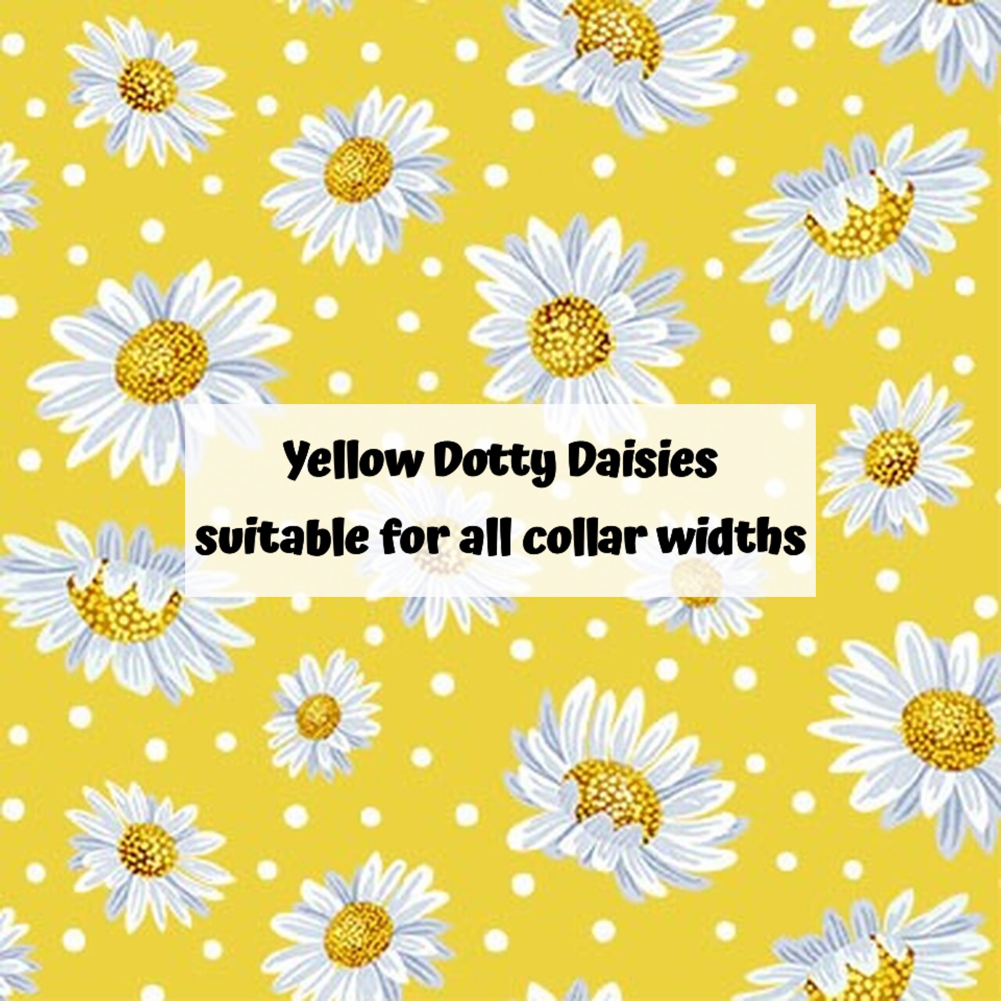 Yellow Dotty Daisies