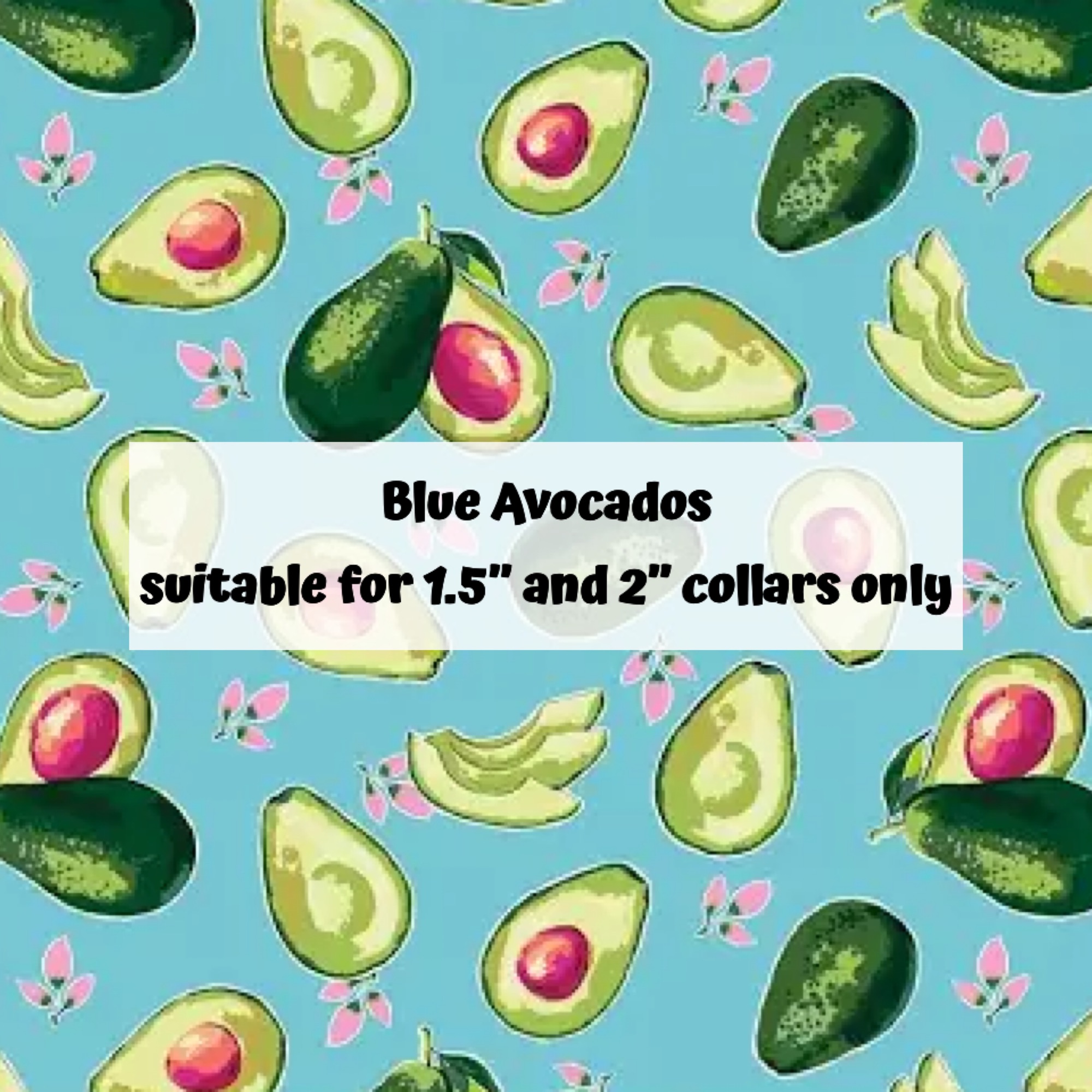 Blue Avocados