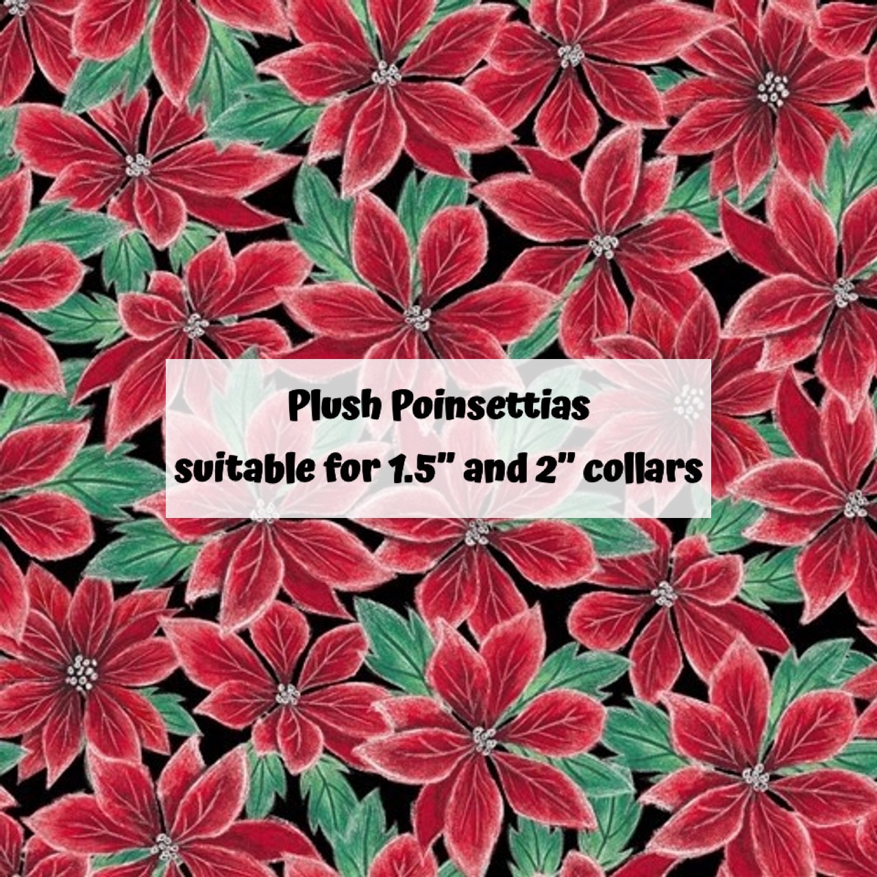 Plush Poinsettias