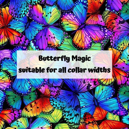 Butterfly Magic