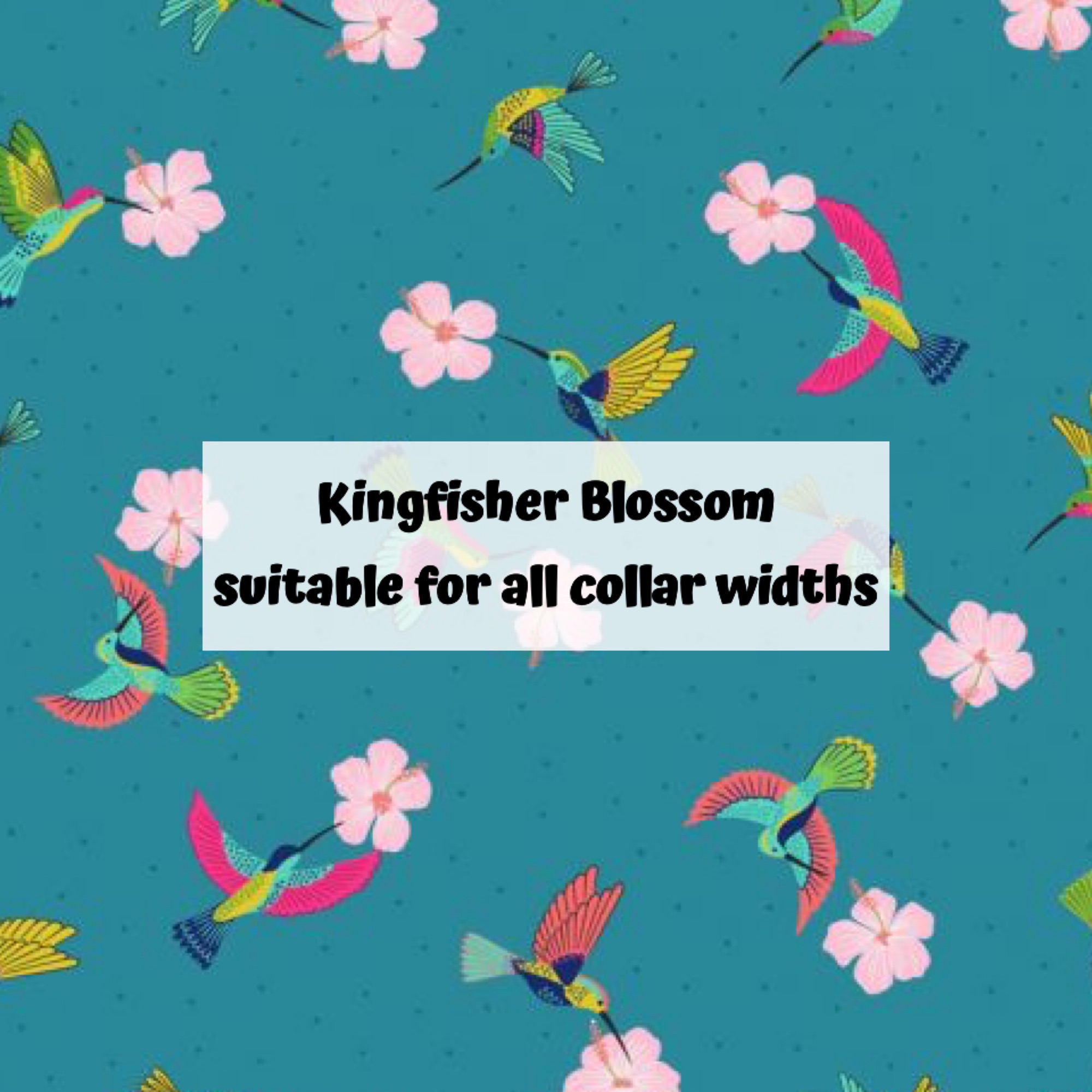 Kingfisher Blossom