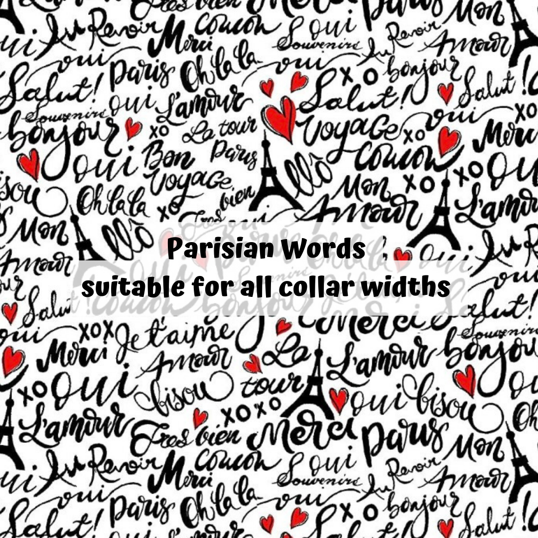 Parisian Words