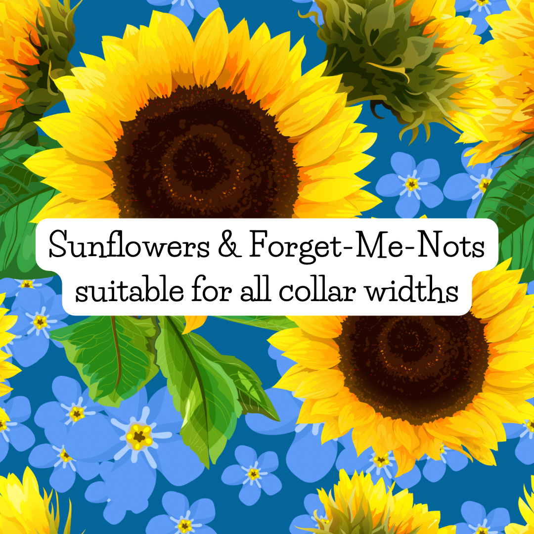 Sunflowers and Forget-me-nots