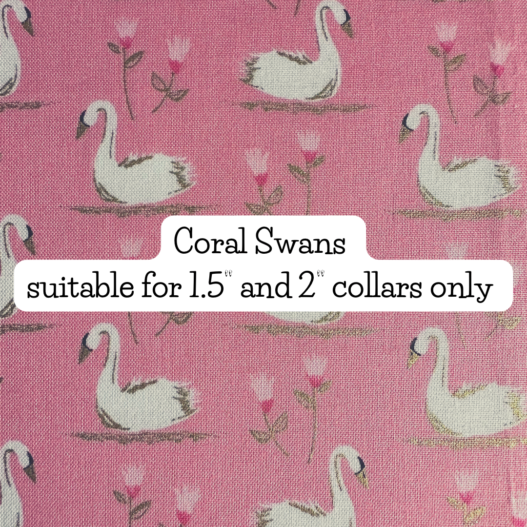 Coral Swans