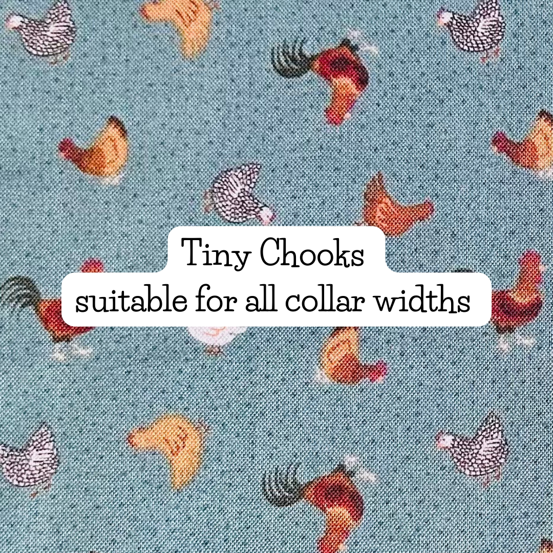 Tiny Chooks