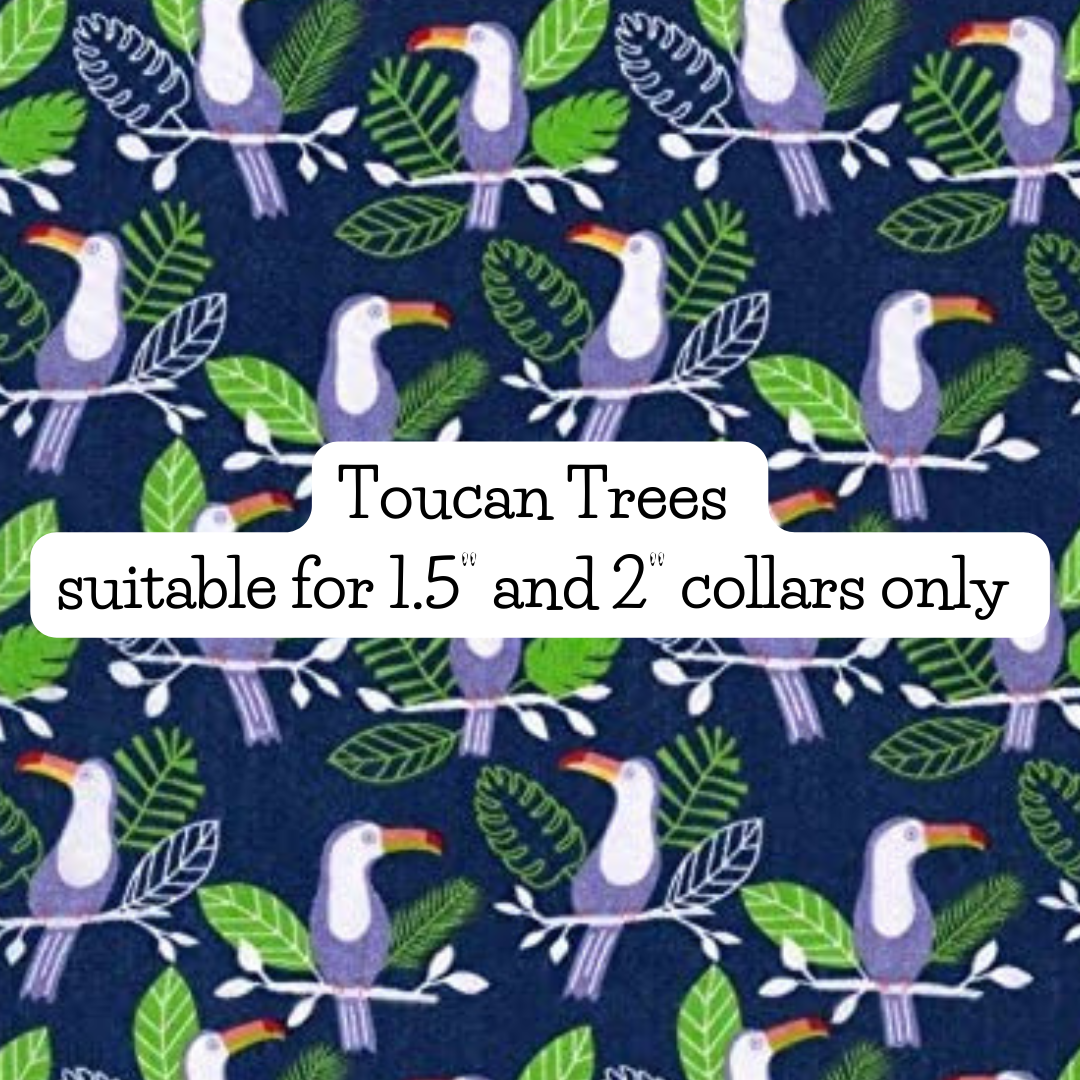 Toucan Trees