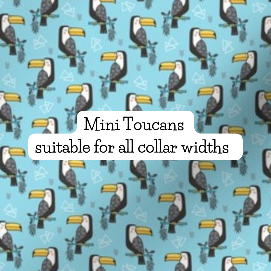 Mini Toucans