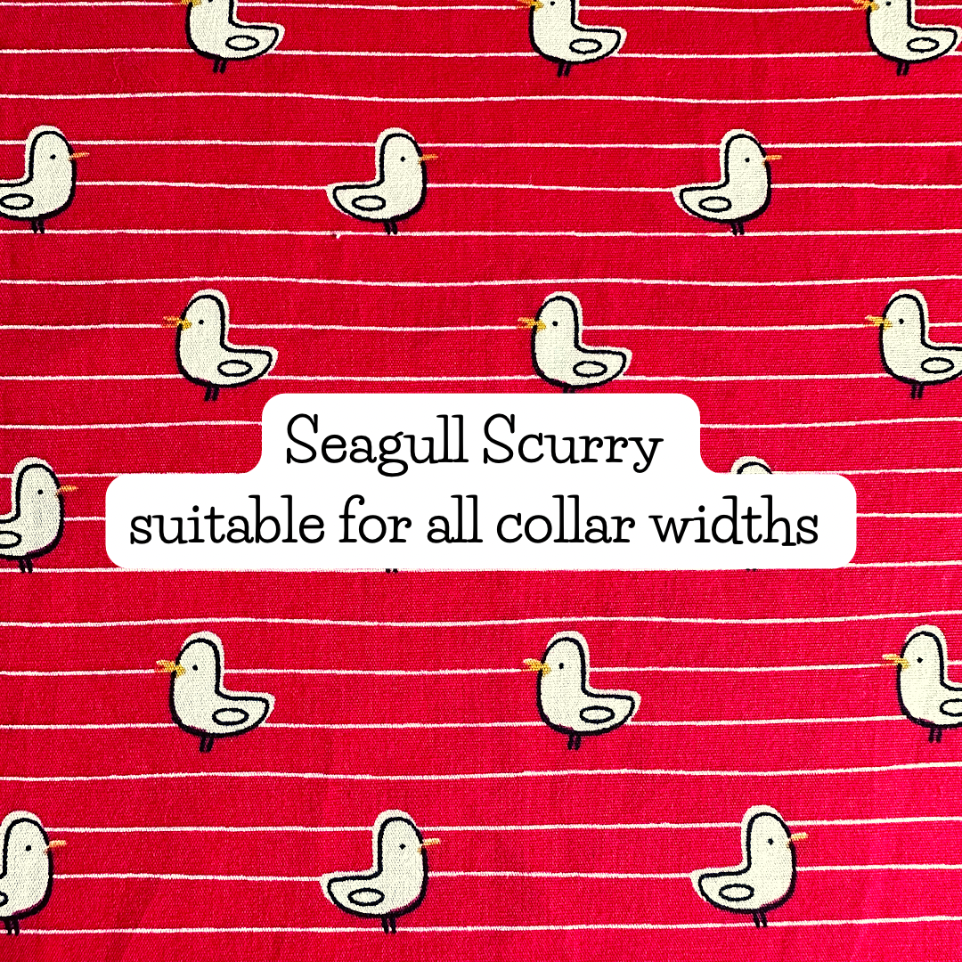 Seagull Skurry