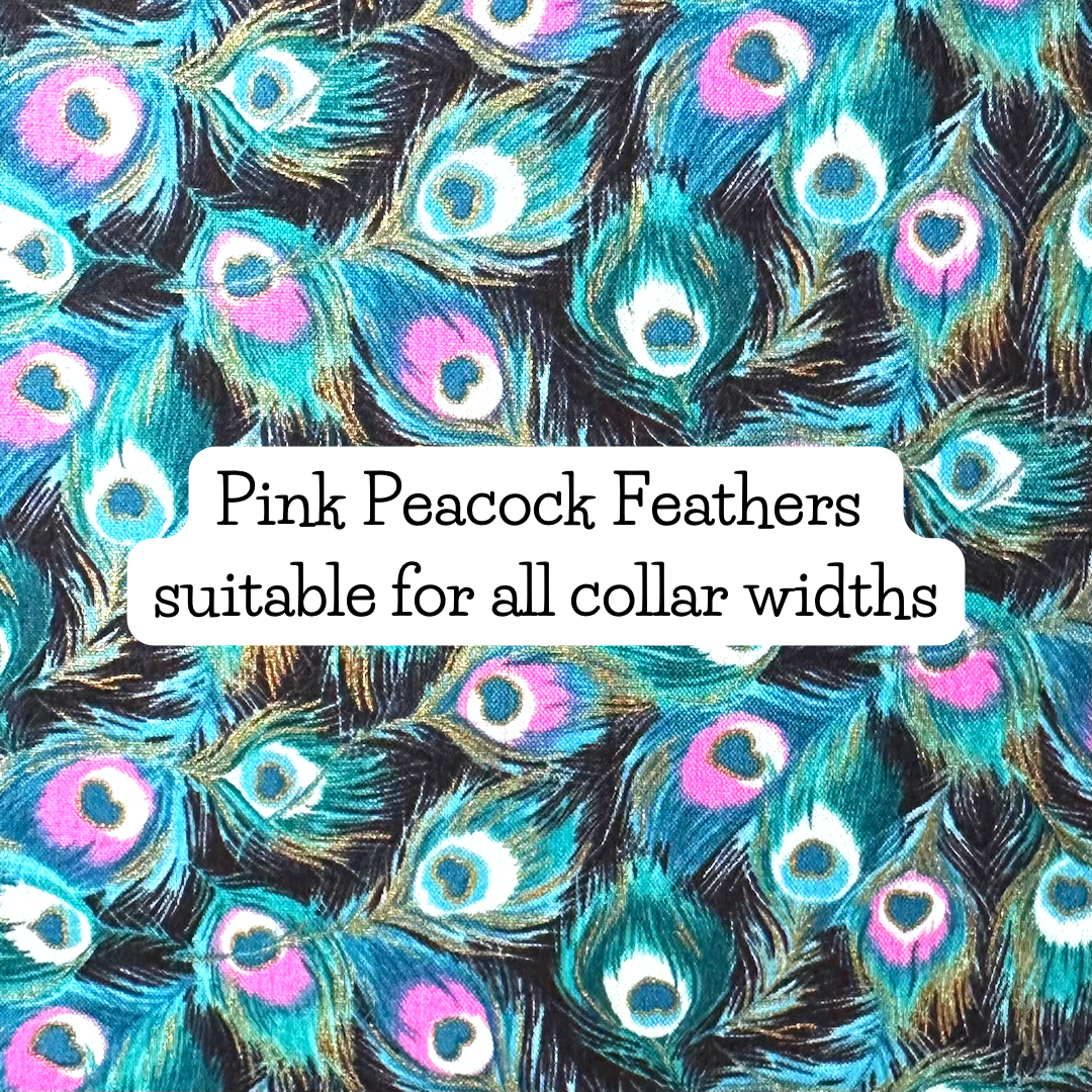 Pink Peacock Feathers