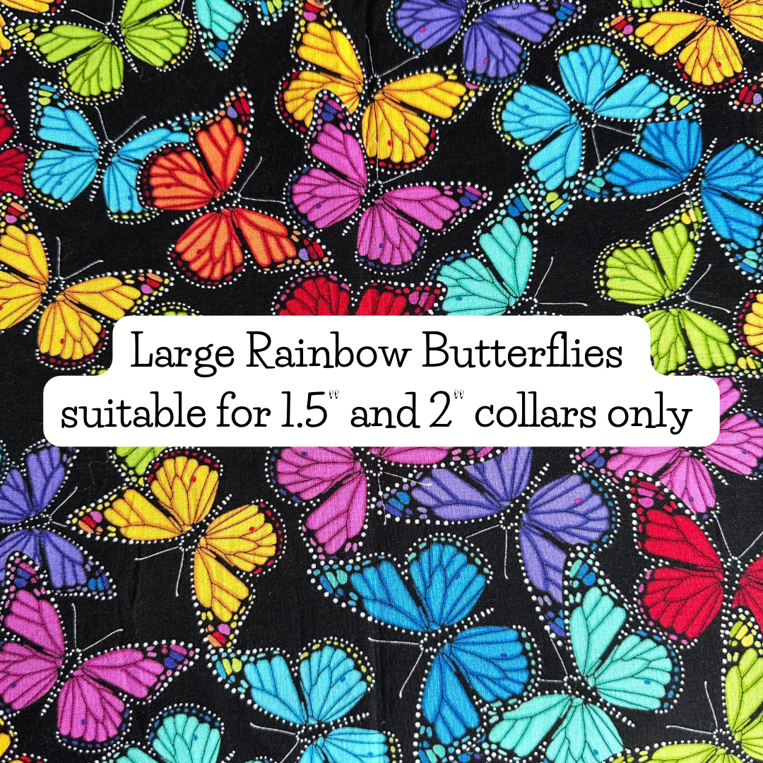 Large Rainbow Butterflies
