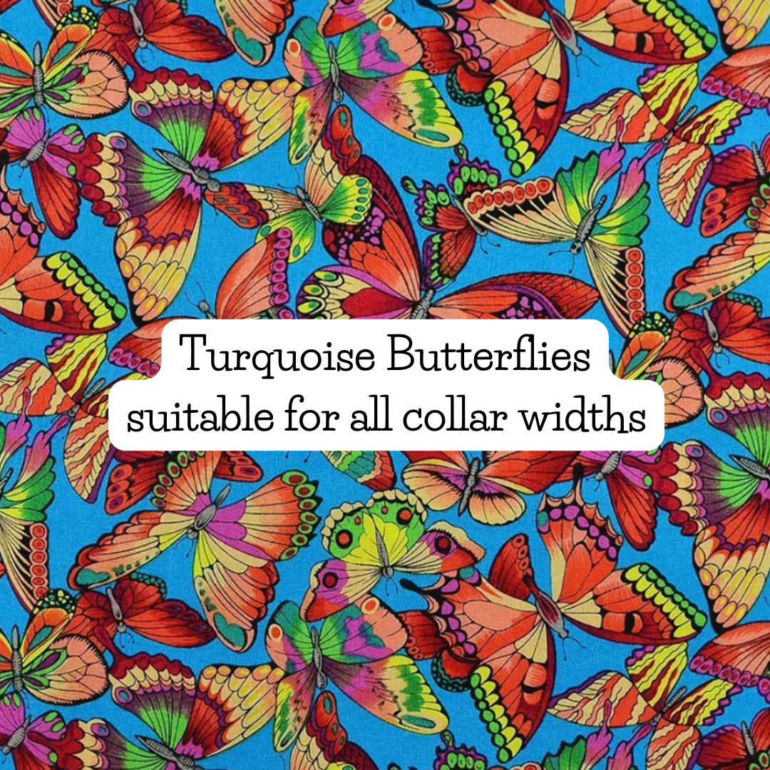 Turquoise Butterflies