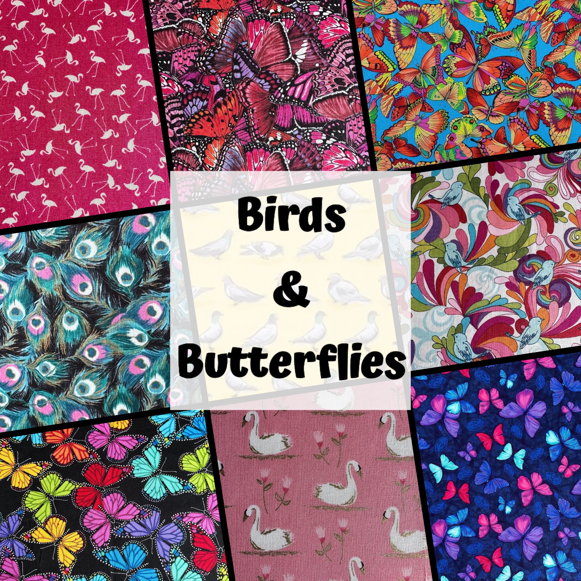 Birds and Butterflies