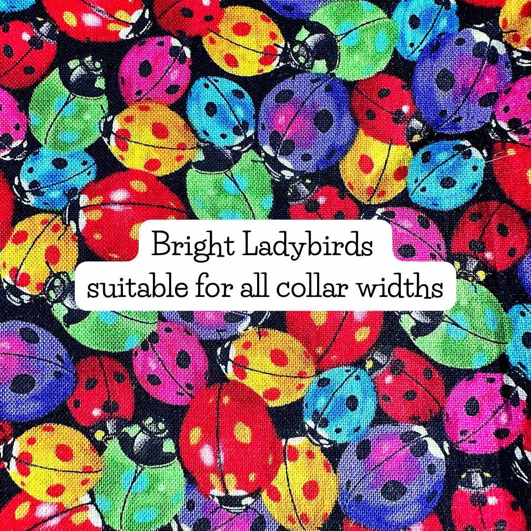 Bright Ladybirds