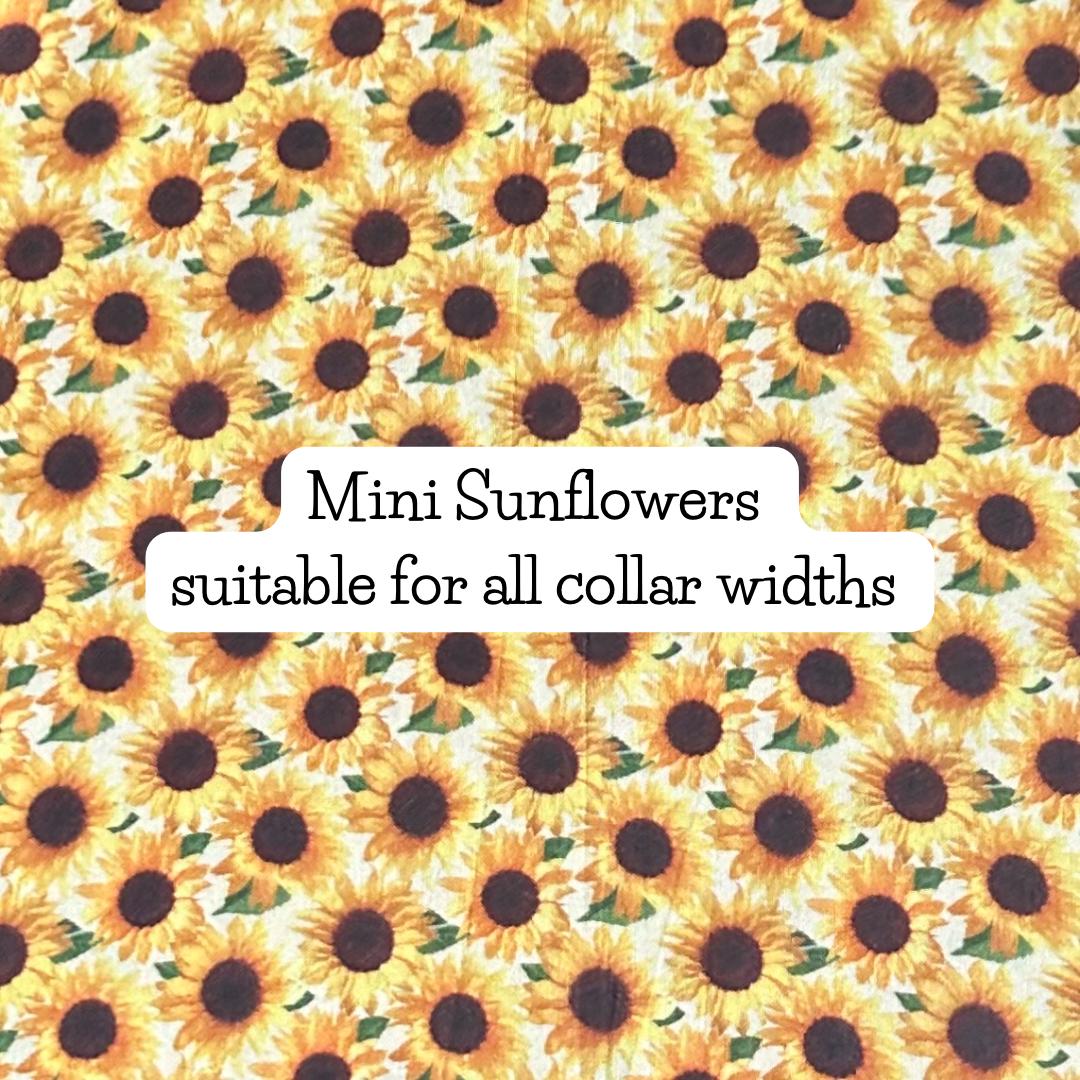 Mini Sunflowers
