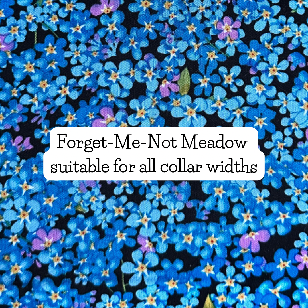 Forget-me-not Meadow