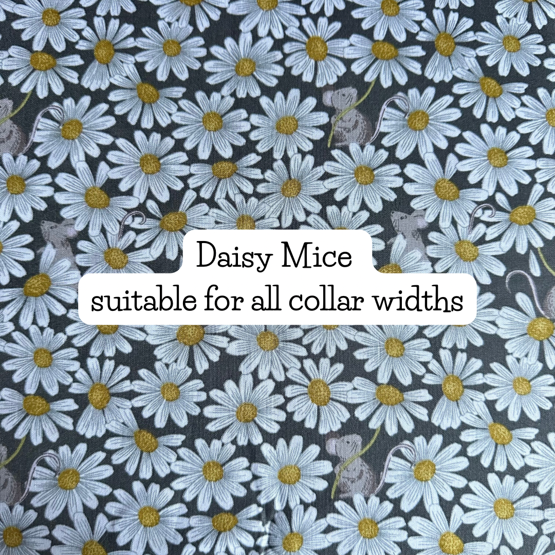 Daisy Mice