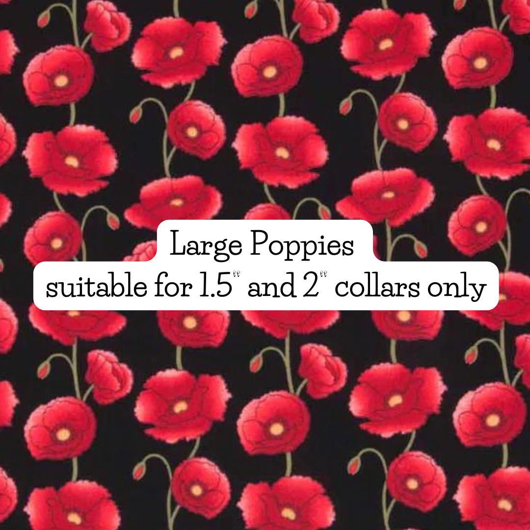 Large Poppies