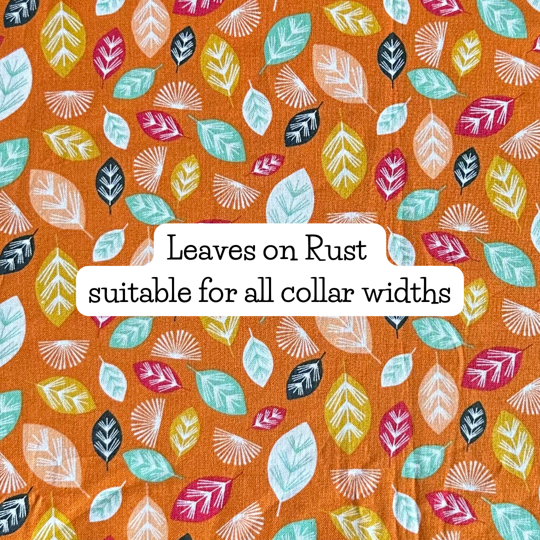 Leaves on Rust