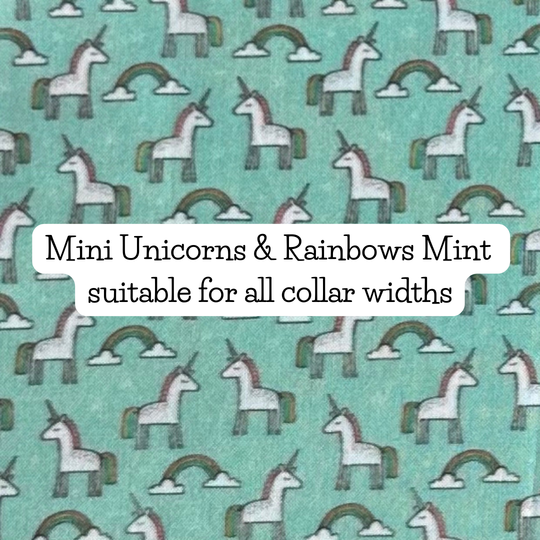 Mini Unicorns and Rainbows Mint