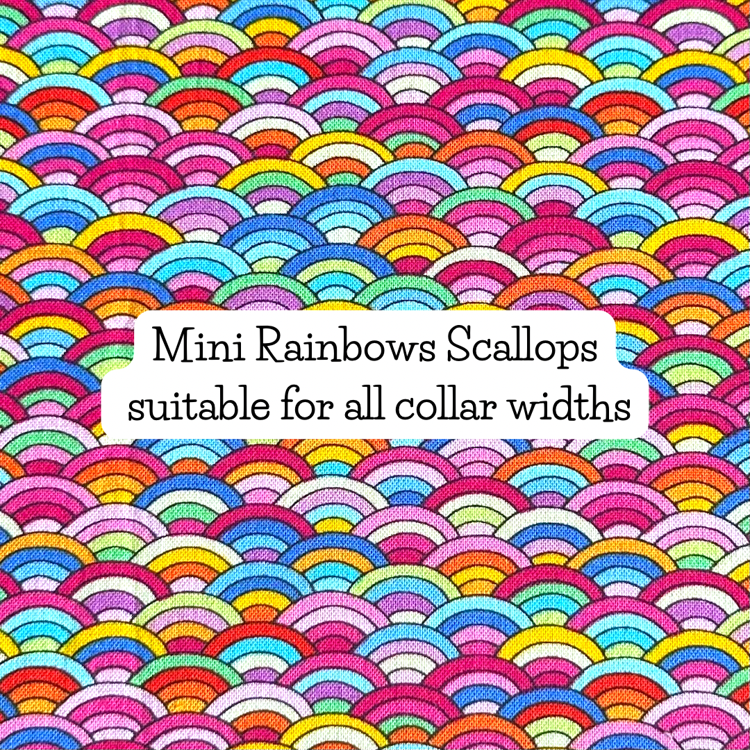 Mini Rainbow Scallops