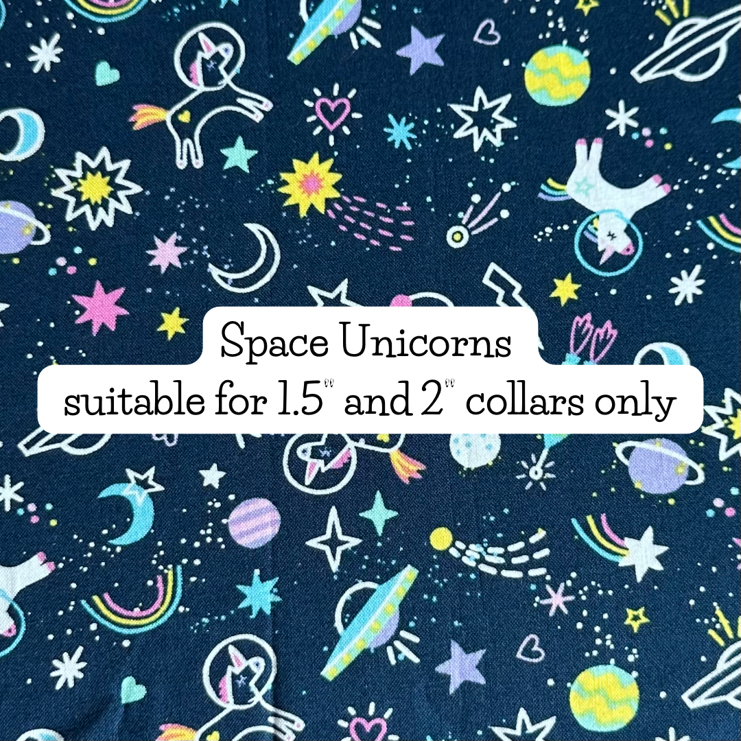Space Unicorns
