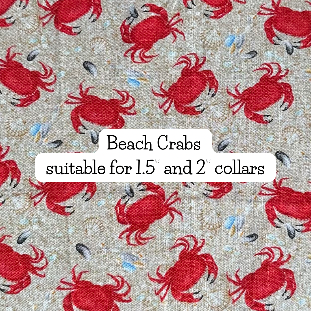 beach crabs
