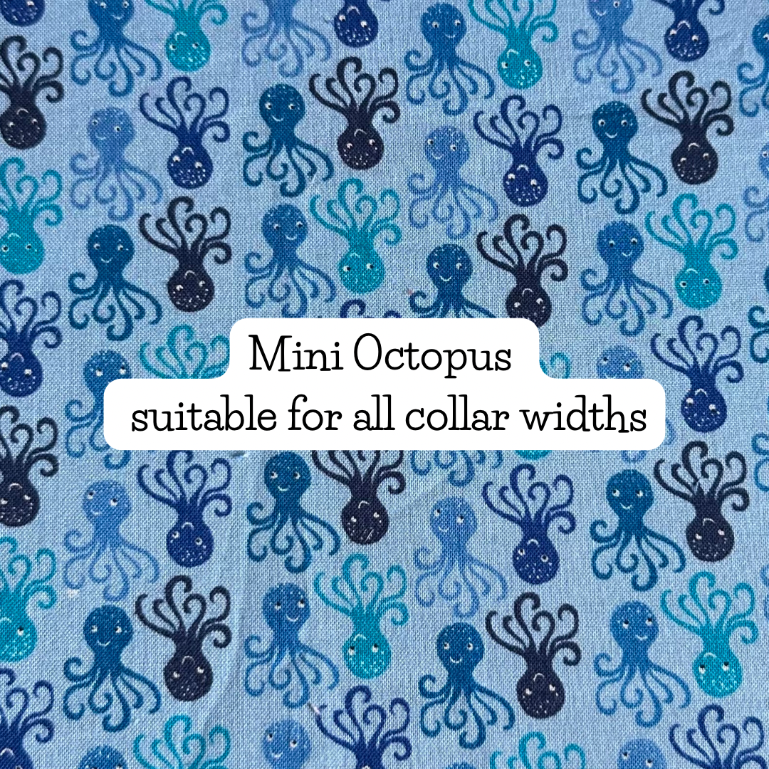 Mini Octopus