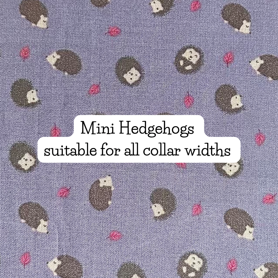 Mini Hedgehogs