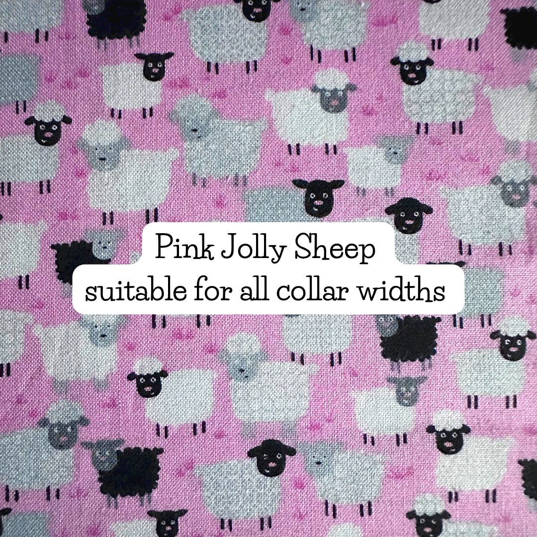 Pink Jolly Sheep