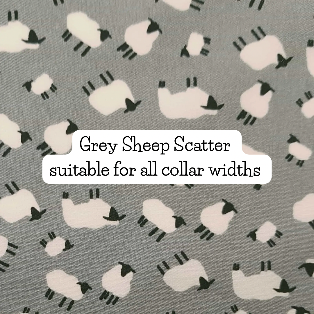 Grey Sheep Scatter