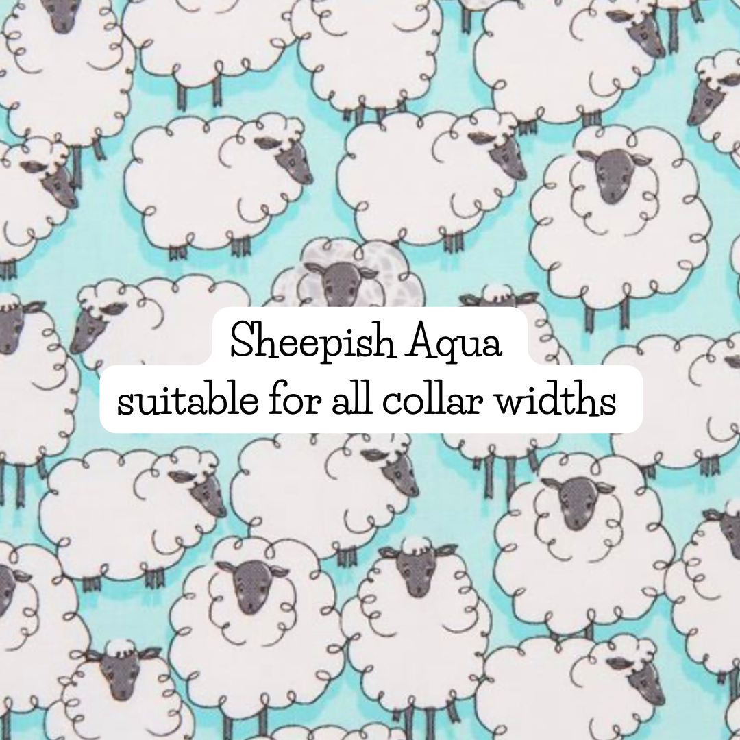 Sheepish Aqua