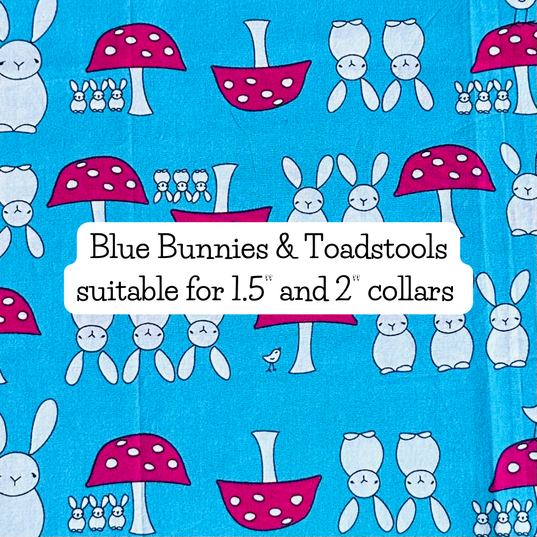 Blue Bunnies & Toadstools