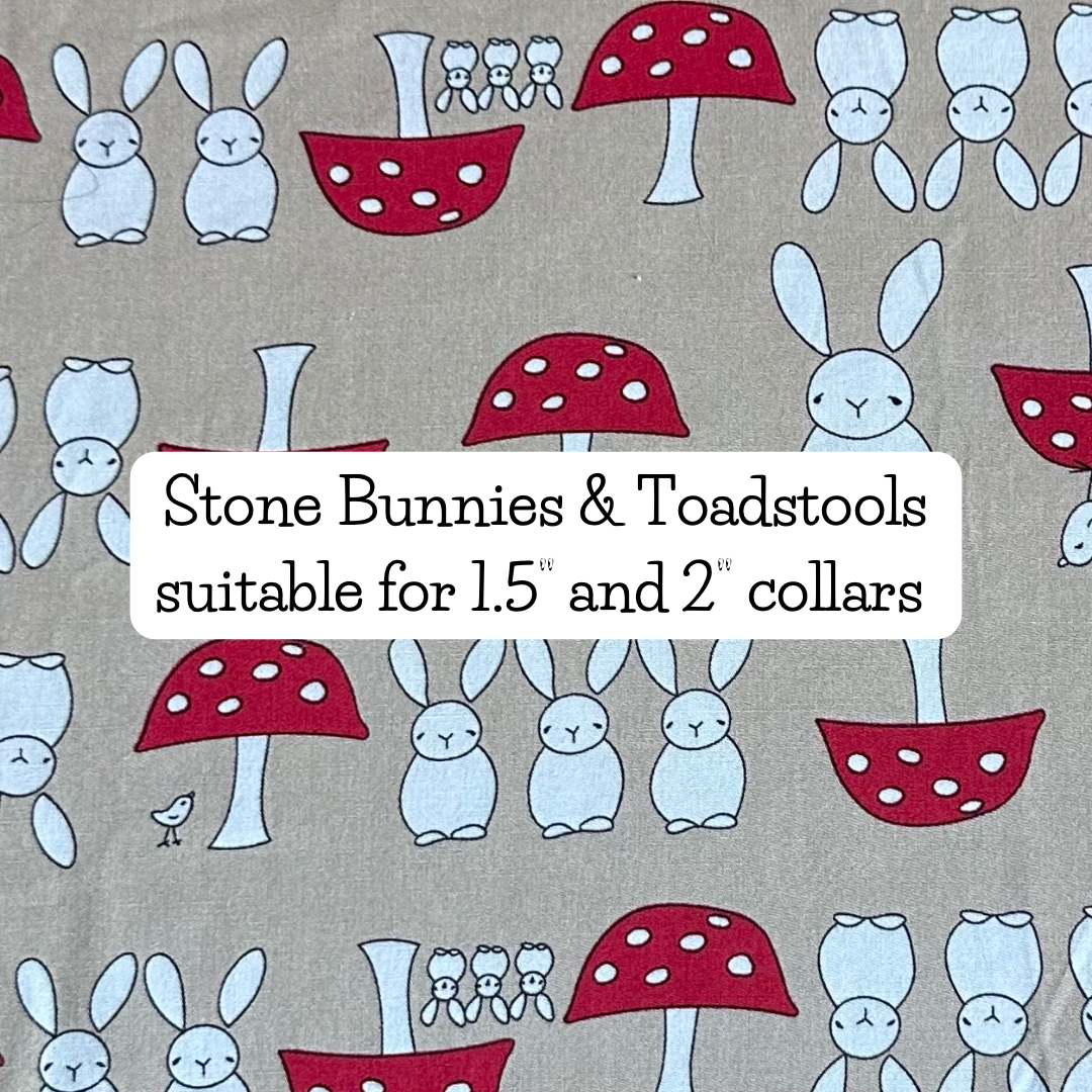 Stone Bunnies & Toadstools