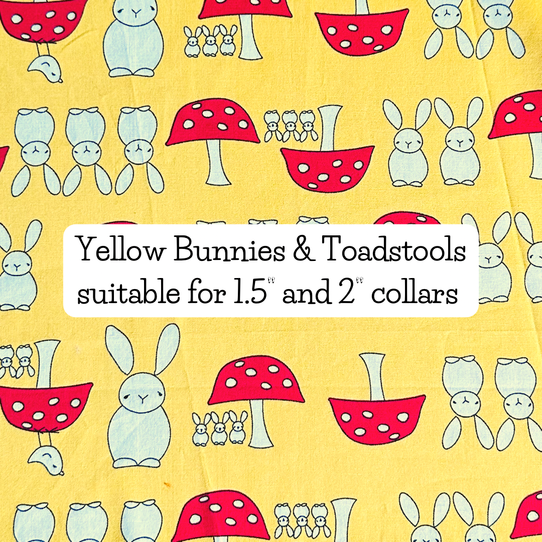 Yellow Bunnies & Toadstools
