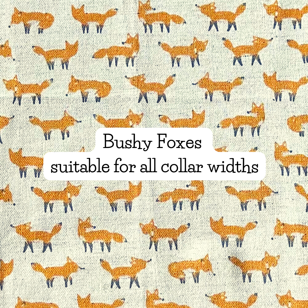 Bushy Foxes